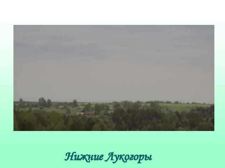 Нижние Лукогоры 