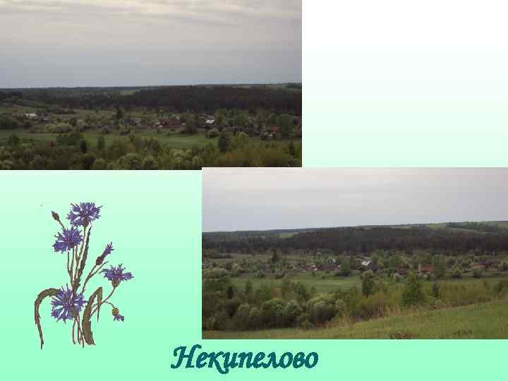 Некипелово 