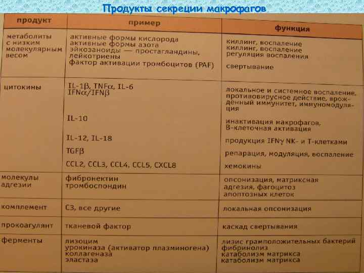 Продукты секреции макрофагов 