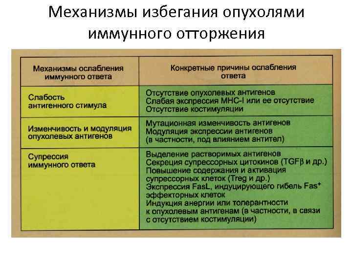 Механизмы избегания. Механизм избегания опухолями иммунологического надзора. Механизмы ускользания опухоли от иммунного ответа. Механизм ускользания опухоли от иммунологического надзора. Механизмы избегания опухолью защитных иммунных реакций.