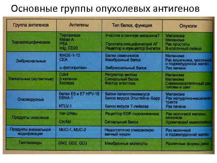 Основные группы опухолевых антигенов 