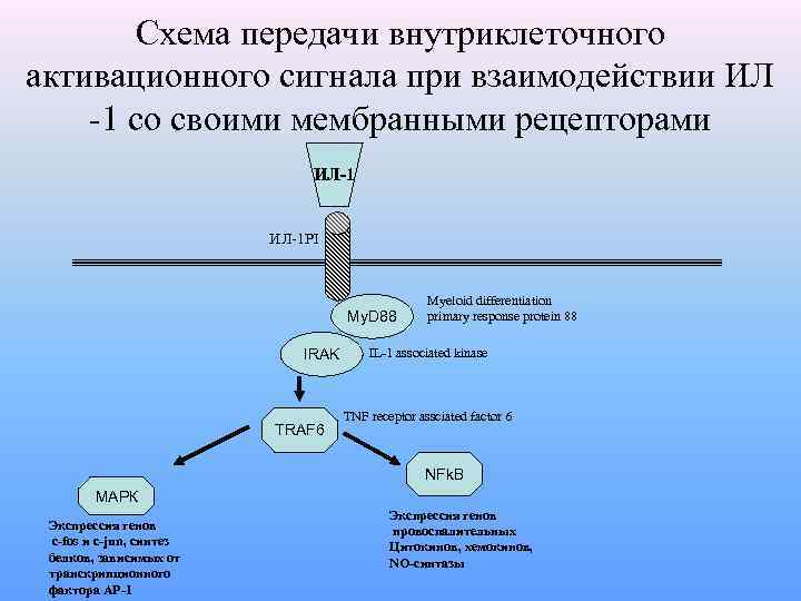 Активационная терапия схема