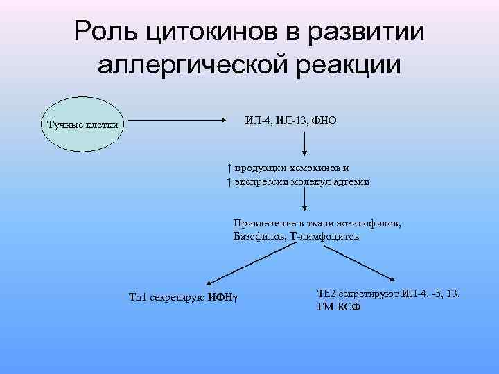 Роль цитокинов в развитии аллергической реакции ИЛ-4, ИЛ-13, ФНО Тучные клетки ↑ продукции хемокинов