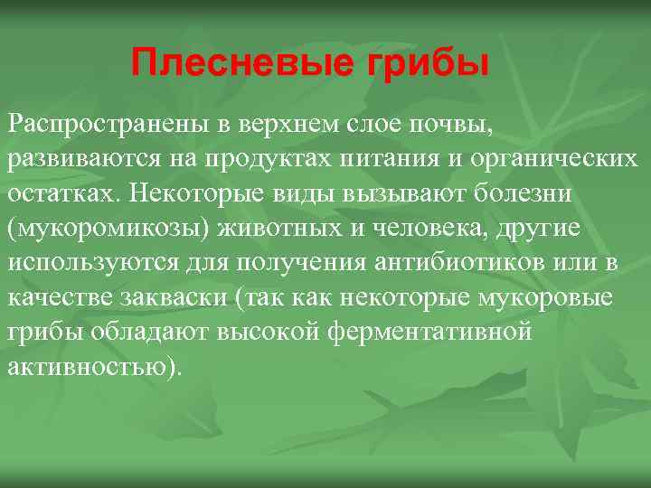 Плесневые грибы Распространены в верхнем слое почвы, развиваются на продуктах питания и органических остатках.