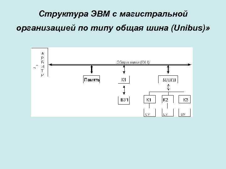 Структурная схема эвм в общем случае включает в себя