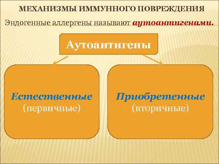 МЕХАНИЗМЫ ИММУННОГО ПОВРЕЖДЕНИЯ Эндогенные аллергены называют аутоантигенами. Аутоантигены Естественные (первичные) Приобретенные (вторичные) 