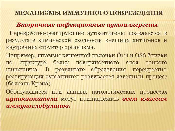МЕХАНИЗМЫ ИММУННОГО ПОВРЕЖДЕНИЯ Вторичные инфекционные аутоаллергены Перекрестно-реагирующие аутоантигены появляются в результате химической сходности внешних