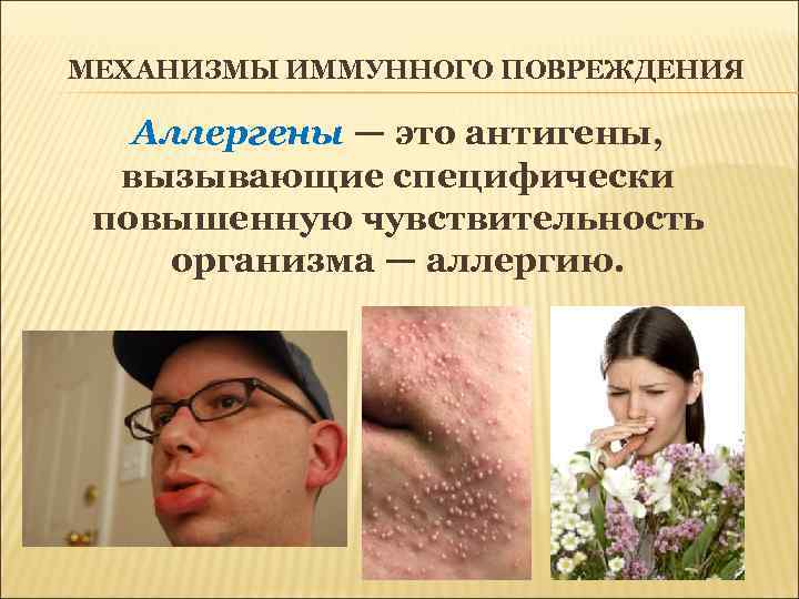 МЕХАНИЗМЫ ИММУННОГО ПОВРЕЖДЕНИЯ Аллергены — это антигены, вызывающие специфически повышенную чувствительность организма — аллергию.