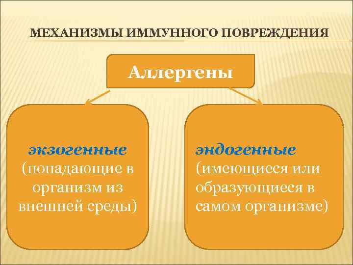 МЕХАНИЗМЫ ИММУННОГО ПОВРЕЖДЕНИЯ Аллергены экзогенные (попадающие в организм из внешней среды) эндогенные (имеющиеся или