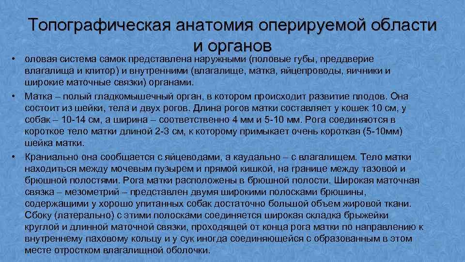 Курсовая работа по теме Овариогистерэктомия собаки