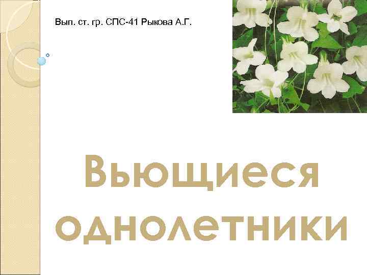 Вып. ст. гр. СПС-41 Рыкова А. Г. Вьющиеся однолетники 