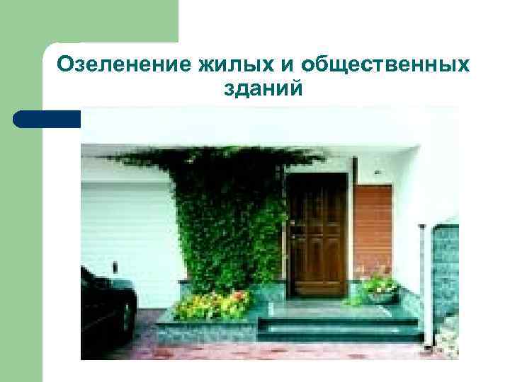 Озеленение жилых и общественных зданий 