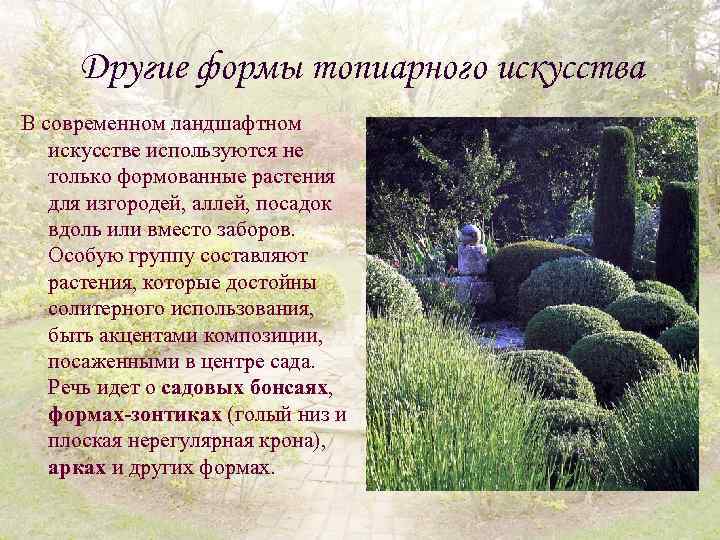 Другие формы топиарного искусства В современном ландшафтном искусстве используются не только формованные растения для
