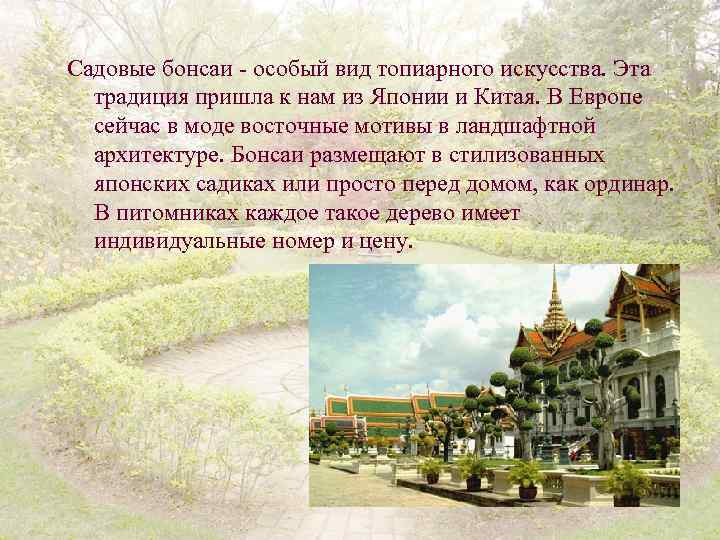 Садовые бонсаи - особый вид топиарного искусства. Эта традиция пришла к нам из Японии