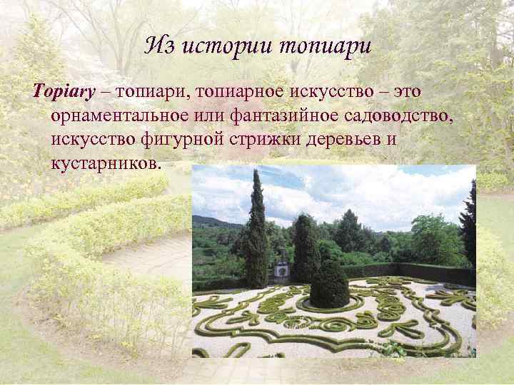 Из истории топиари Topiary – топиари, топиарное искусство – это орнаментальное или фантазийное садоводство,