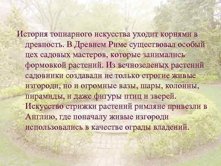 История топиарного искусства уходит корнями в древность. В Древнем Риме существовал особый цех садовых