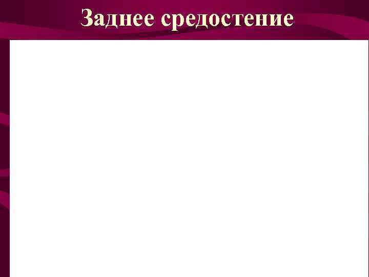 Заднее средостение 