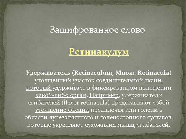 Зашифрованное слово Ретинакулум Удерживатель (Retinaculum, Множ. Retinacula) утолщенный участок соединительной ткани, который удерживает в