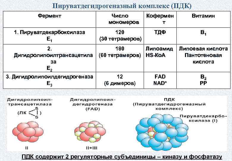 Мономерами углеводов являются 1