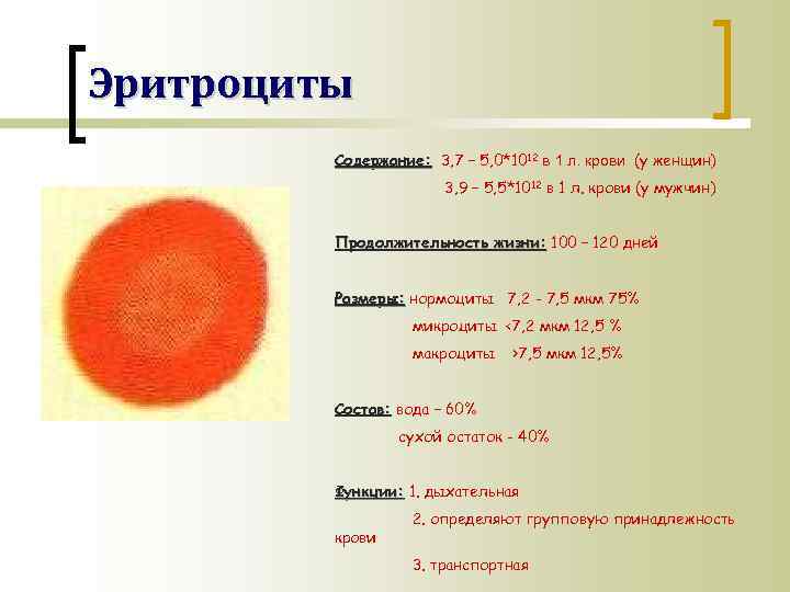 Эритроциты Содержание: 3, 7 – 5, 0*1012 в 1 л. крови (у женщин) 3,