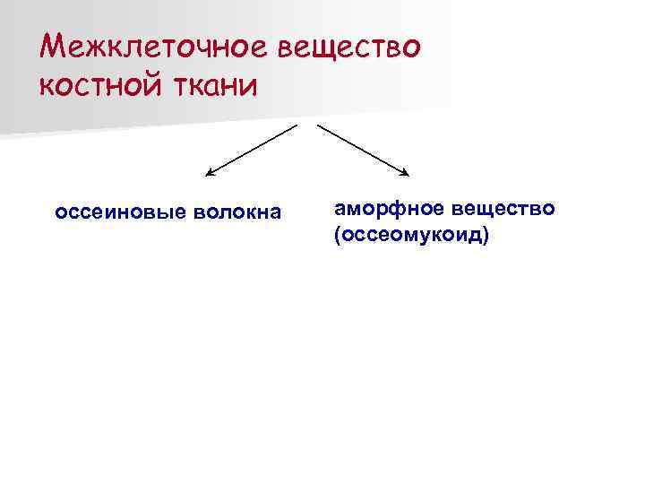 Межклеточное вещество костной ткани оссеиновые волокна аморфное вещество (оссеомукоид) 