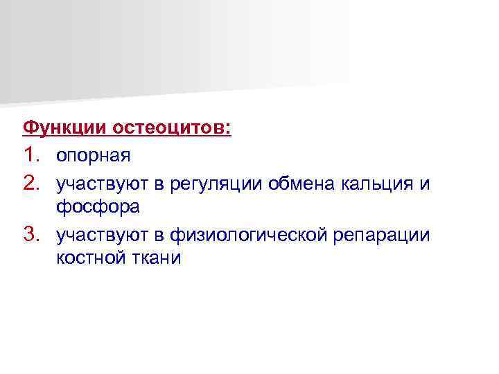 Функции остеоцитов: 1. опорная 2. участвуют в регуляции обмена кальция и фосфора 3. участвуют