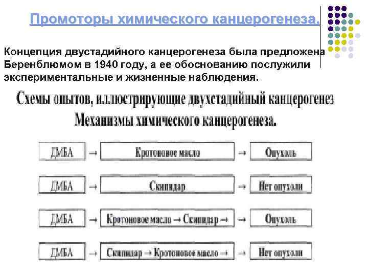 Промоторы химического канцерогенеза. Концепция двустадийного канцерогенеза была предложена Беренблюмом в 1940 году, а ее