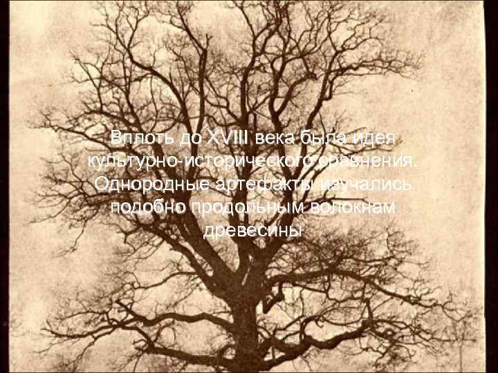 Вплоть до XVIII века была идея культурно-исторического сравнения. Однородные артефакты изучались подобно продольным волокнам