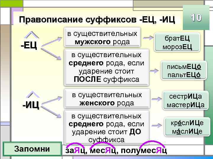 Правописание суффиксов -ЕЦ, -ИЦ -ЕЦ в существительных мужского рода в существительных среднего рода, если