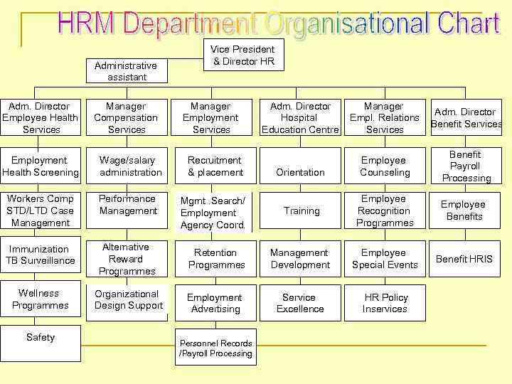 Administrative assistant Adm. Director Employee Health Services Manager Compensation Services Vice President & Director