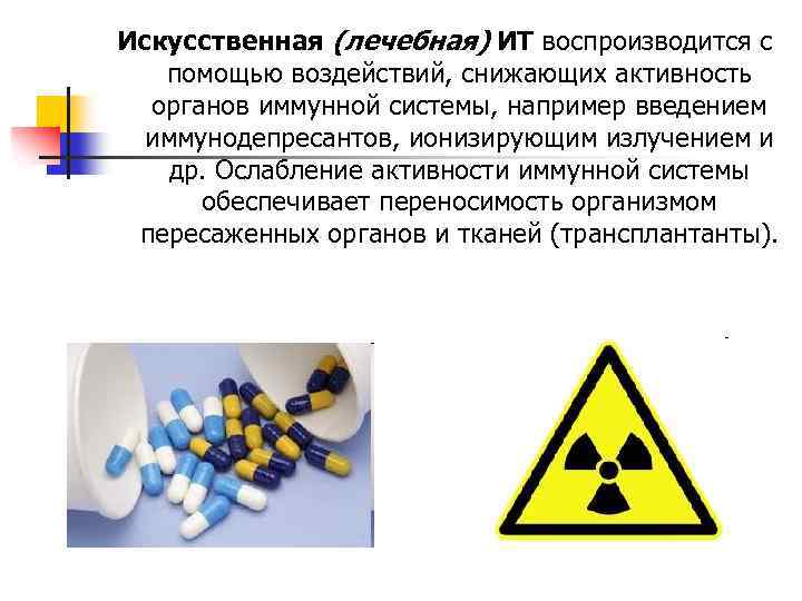 Искусственная (лечебная) ИТ воспроизводится с помощью воздействий, снижающих активность органов иммунной системы, например введением