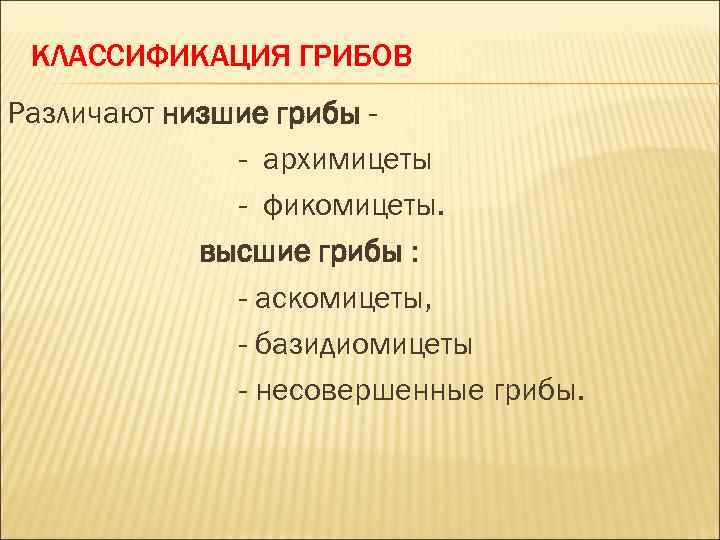 КЛАССИФИКАЦИЯ ГРИБОВ Различают низшие грибы - архимицеты - фикомицеты. высшие грибы : - аскомицеты,