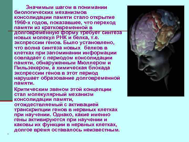 Значимым шагом в понимании биологических механизмов консолидации памяти стало открытие 1960 -х годов, показавшее,