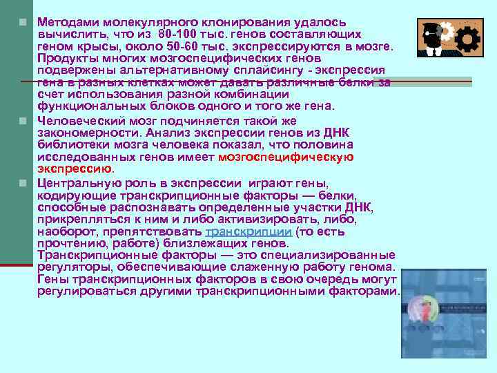 n Методами молекулярного клонирования удалось вычислить, что из 80 -100 тыс. генов составляющих геном