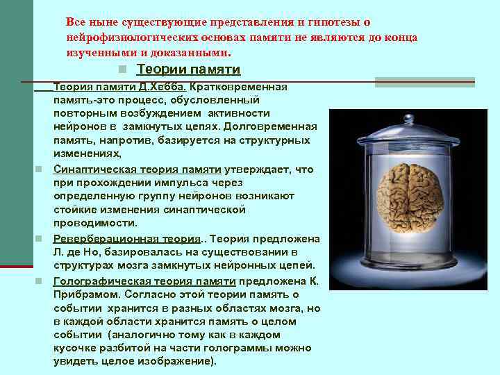 Все ныне существующие представления и гипотезы о нейрофизиологических основах памяти не являются до конца