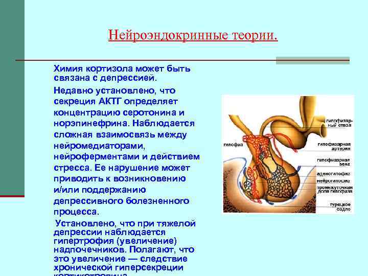 Нейроэндокринные теории. Химия кортизола может быть связана с депрессией. Недавно установлено, что секреция АКТГ