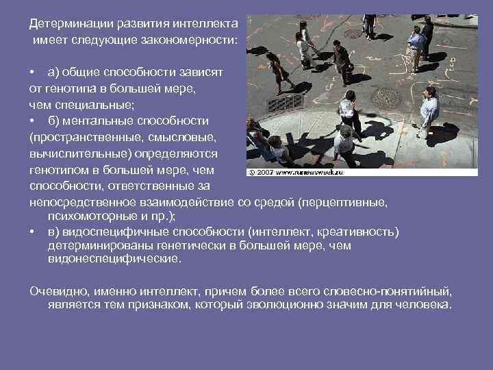 Детерминации развития интеллекта имеет следующие закономерности: • а) общие способности зависят от генотипа в