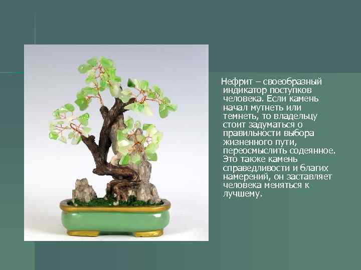 Нефрит – своеобразный индикатор поступков человека. Если камень начал мутнеть или темнеть, то владельцу