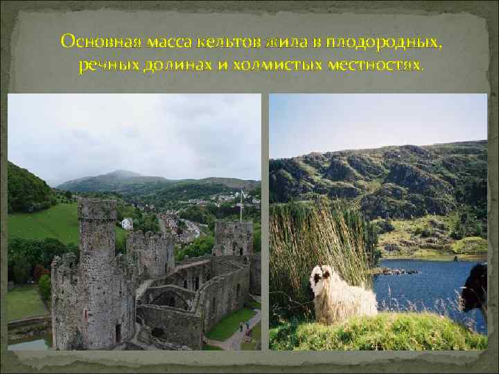 Основная масса кельтов жила в плодородных, речных долинах и холмистых местностях. 