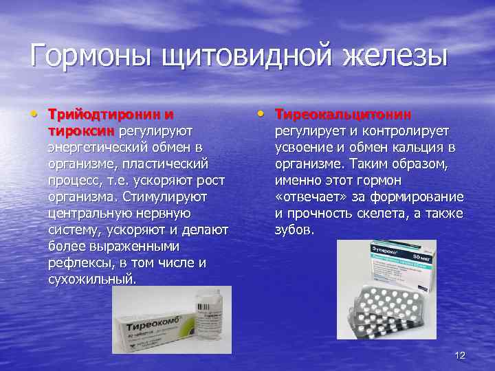 Гормоны щитовидной железы • Трийодтиронин и тироксин регулируют энергетический обмен в организме, пластический процесс,