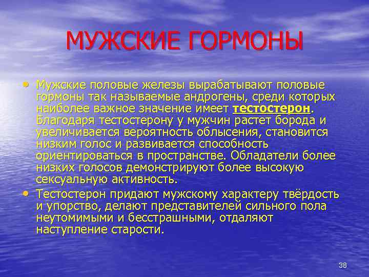 МУЖСКИЕ ГОРМОНЫ • Мужские половые железы вырабатывают половые • гормоны так называемые андрогены, среди