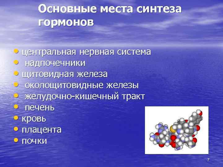 Основные места синтеза гормонов • центральная нервная система • надпочечники • щитовидная железа •