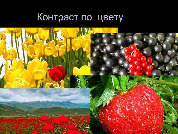 Контраст по цвету 