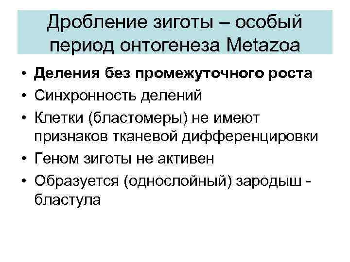 Дробление зиготы – особый период онтогенеза Metazoa • Деления без промежуточного роста • Синхронность