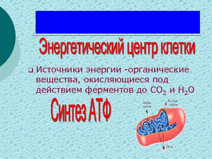 q Источники энергии -органические вещества, окисляющиеся под действием ферментов до CO 2 и H