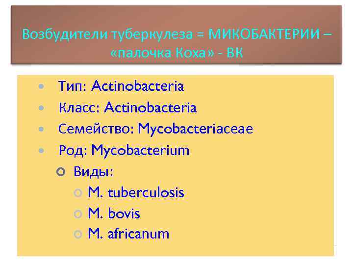 Возбудители туберкулеза = МИКОБАКТЕРИИ – «палочка Коха» - ВК Тип: Actinobacteria Класс: Actinobacteria Семейство: