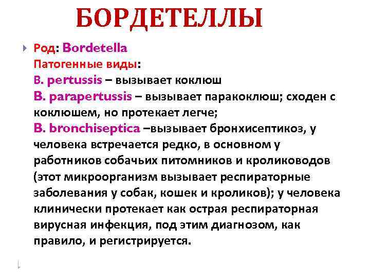 БОРДЕТЕЛЛЫ Род: Bordetella Патогенные виды: В. pertussis – вызывает коклюш B. parapertussis – вызывает