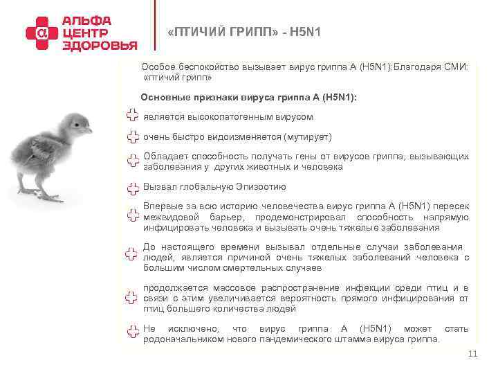  «ПТИЧИЙ ГРИПП» - H 5 N 1 Особое беспокойство вызывает вирус гриппа А