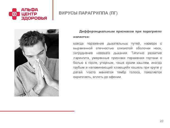 ВИРУСЫ ПАРАГРИППА (ПГ) Дифференциальным признаком при парагриппе является: всегда поражение дыхательных путей, насморк с