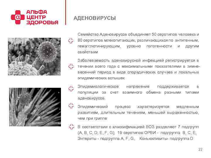 АДЕНОВИРУСЫ Семейство Аденовирусов объединяет 50 серотипов человека и 80 серотипов млекопитающих, различающихся по антигенным,